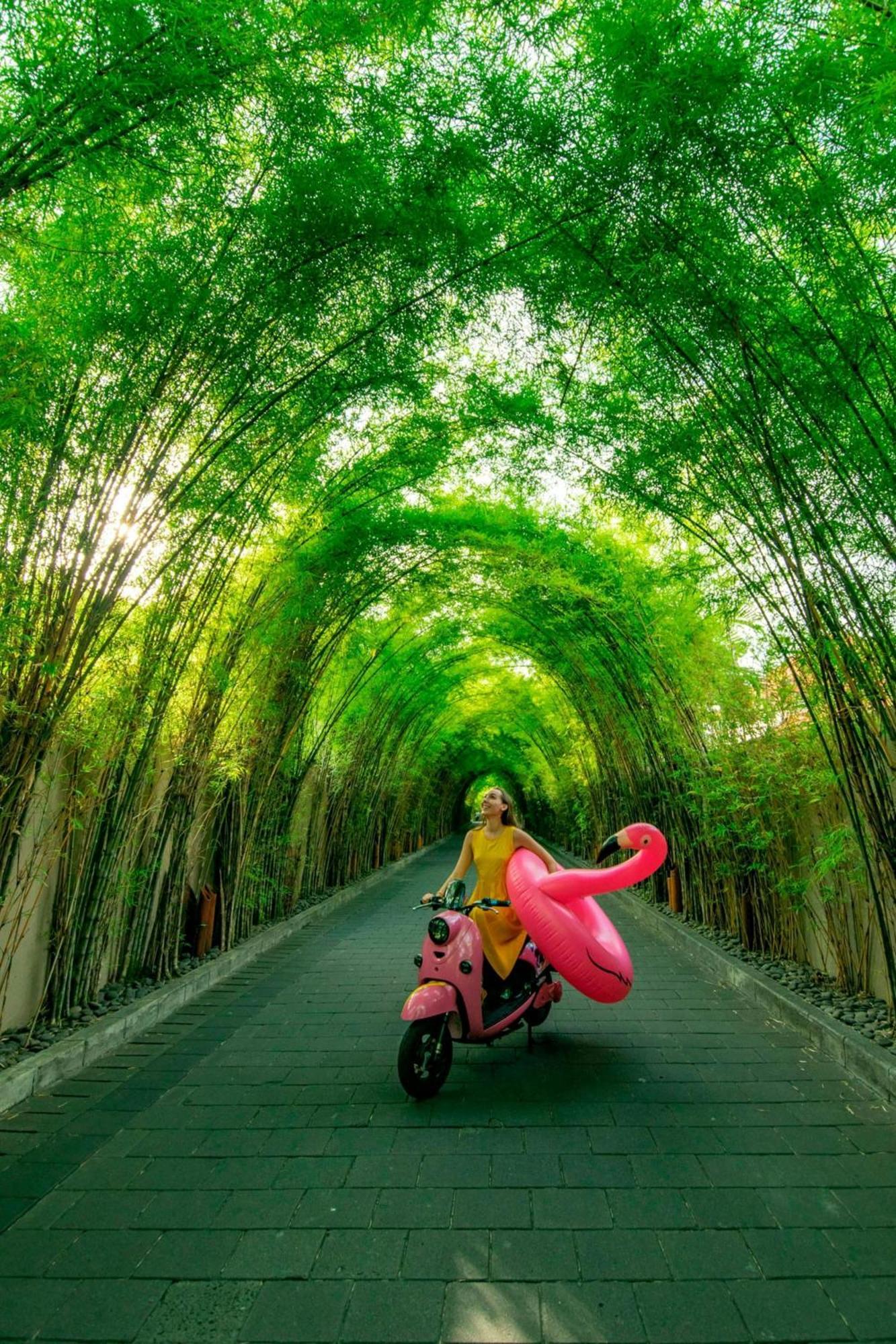 فندق دابليو بالي - سمينياك المظهر الخارجي الصورة Bamboo forest in Vietnam